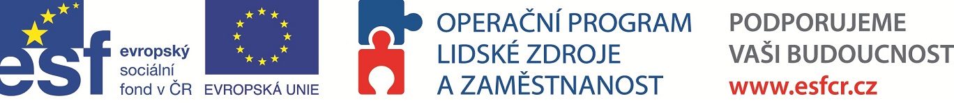 Primary Raster logo